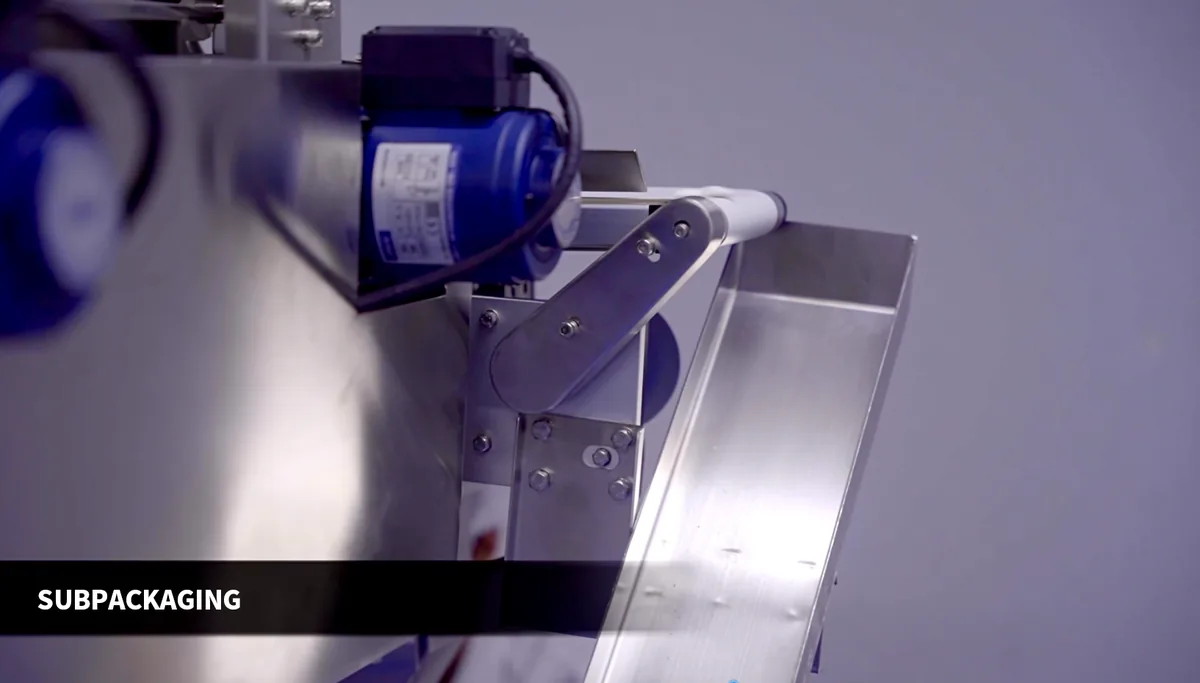 Downstream packaging in an oral pouch production workflow